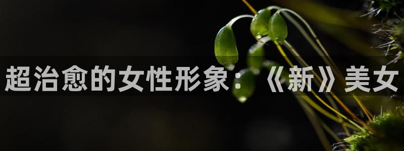 飞飞漫画分类